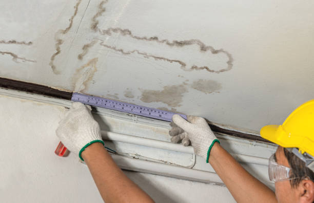 24/7 Emergency Structural Drying experts in Palo, MI