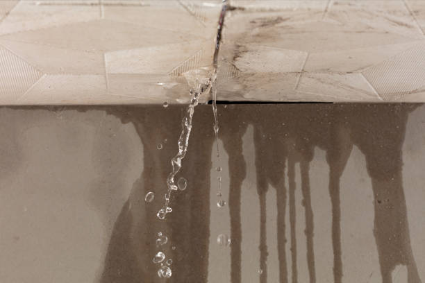 Professional Structural Drying technician working in Palo, MI